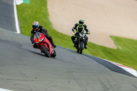 PJ-Motorsport-2019;donington-no-limits-trackday;donington-park-photographs;donington-trackday-photographs;no-limits-trackdays;peter-wileman-photography;trackday-digital-images;trackday-photos
